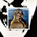 Monkey Poster Print