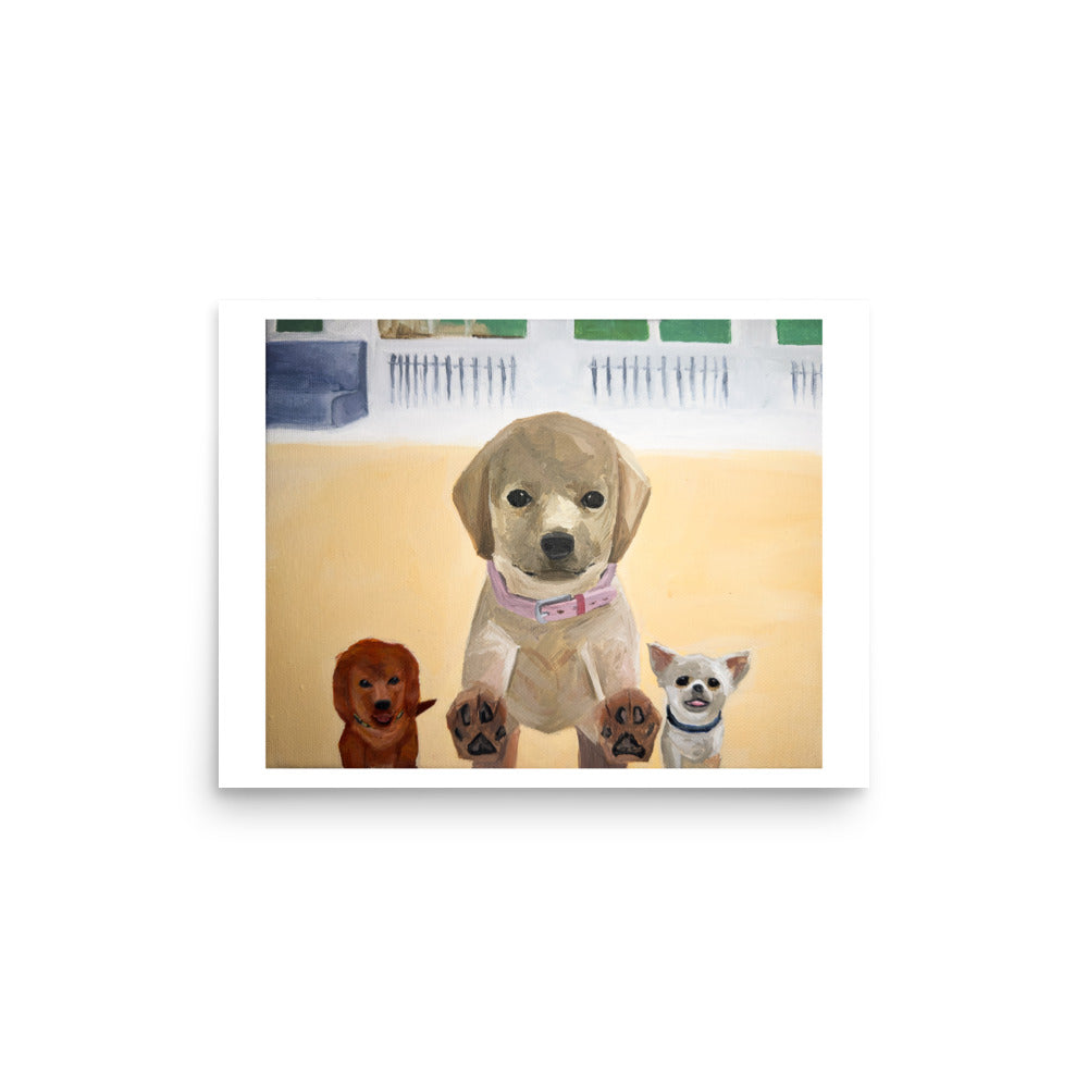 Nintendogs - Poster Print