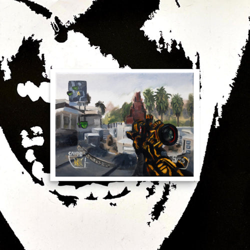 Bo2 Raid DSR Poster Print