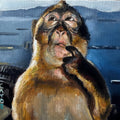 Monkey