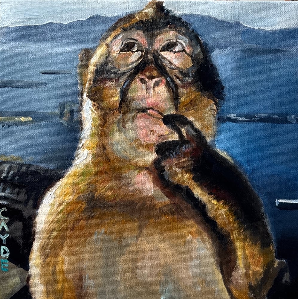 Monkey